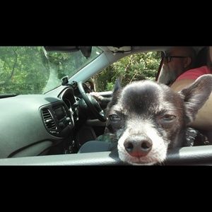 Meet your Posher, Christi